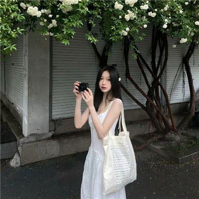 少数意见